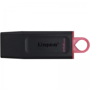 PEN DRIVE 256GB KINGSTON...