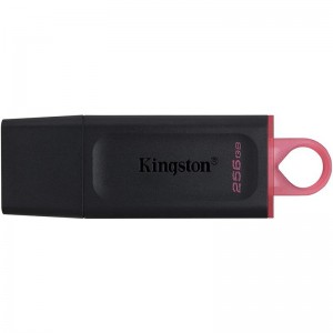 PEN DRIVE 256GB KINGSTON...